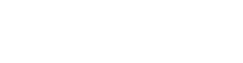 Smartt Steps white logo